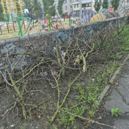 Стан дитячого майданчику «Казка» у Корабельному району 22 травня. Фото: Олена Фадєва