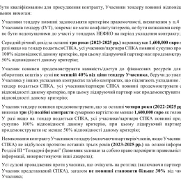 Вимоги до учасників тендеру. Скриншот з документа