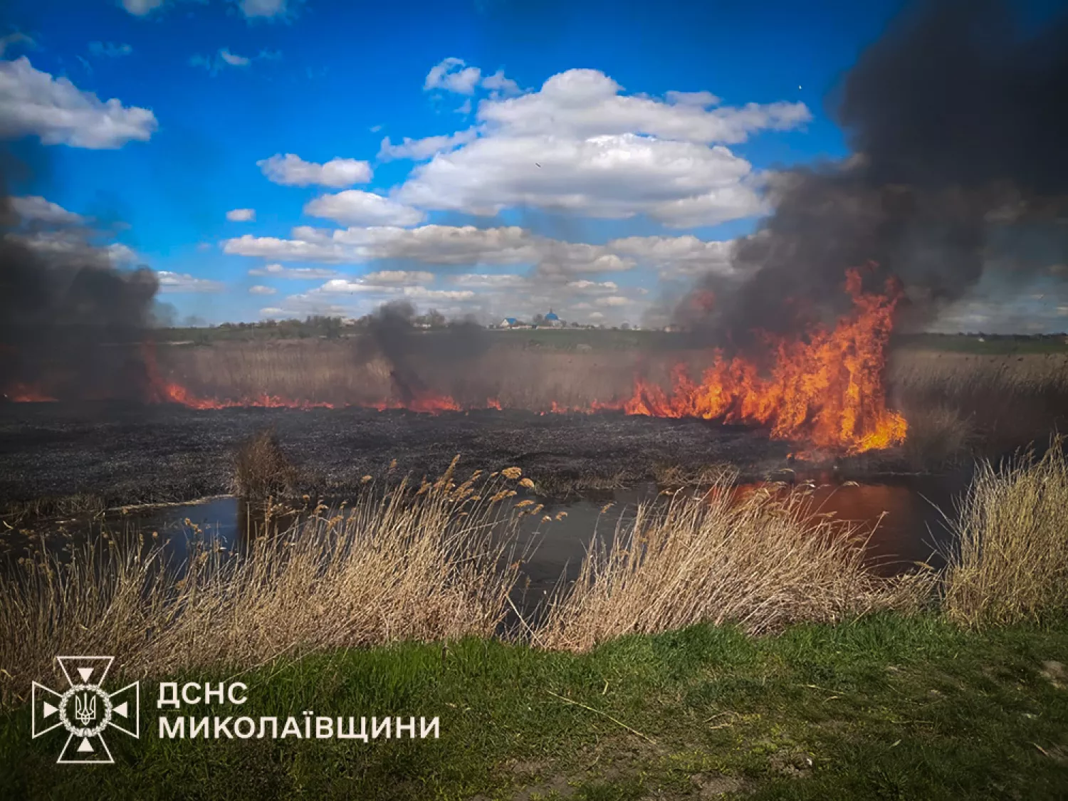 На Миколаївщині зменшилась кількість пожеж. Пожежа на Миколаївщині. Фото: ДСНС