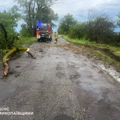 Негода на Миколаївщині повалила дерева. Фото: ДСНС