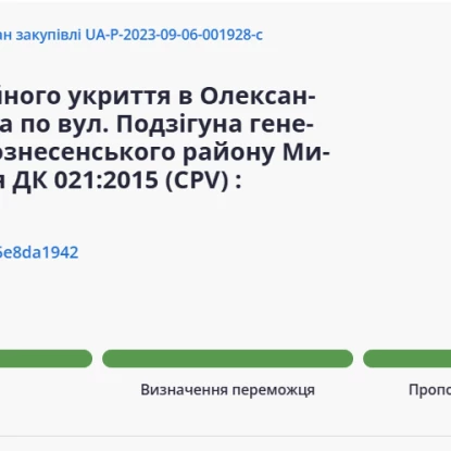 Перший тендер на будівництво укриття в Олександрівському ліцеї. Скриншот з Prozorro