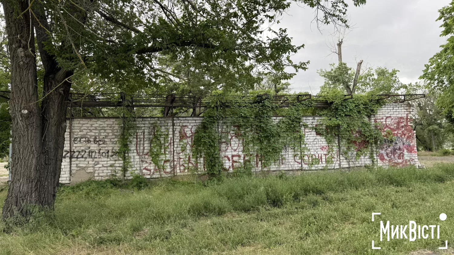 Так виглядає парк «Перемоги» станом на кінець травня 2026 року. Фото: МикВісті