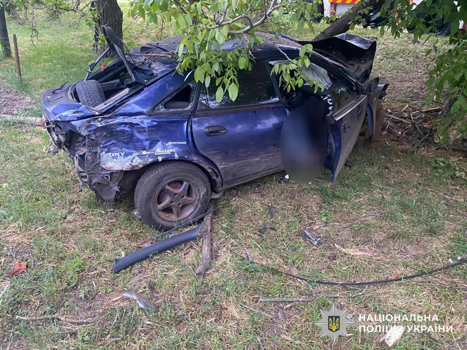 Смертельна ДТП у Веселиновому, фото поліція Миколаївщини