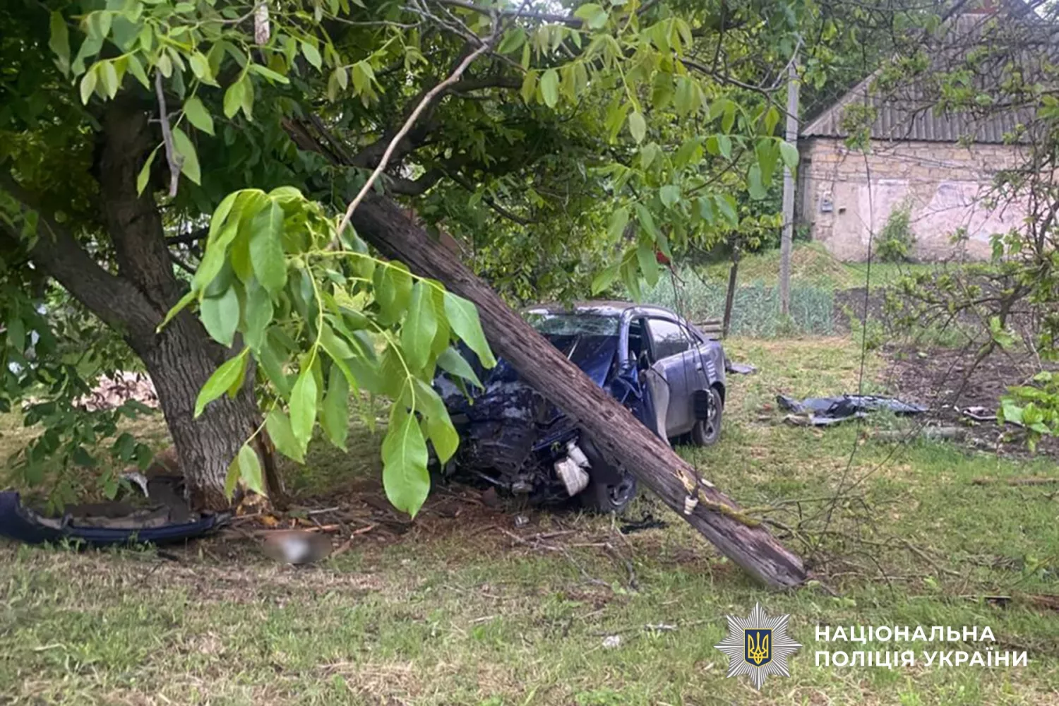 Смертельна ДТП у Веселиновому, фото поліція Миколаївщини