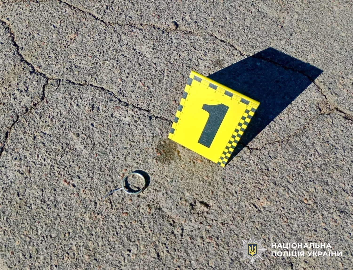 На Миколаївщині чоловік кинув гранату на подвір'я, фото Національної поліції
