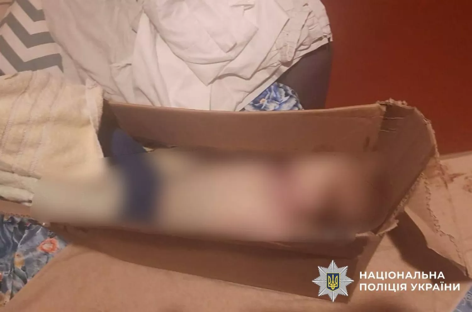 Судитимуть матір за смерть 2-річного сина та приховування тіла, фото Поліції Київщини