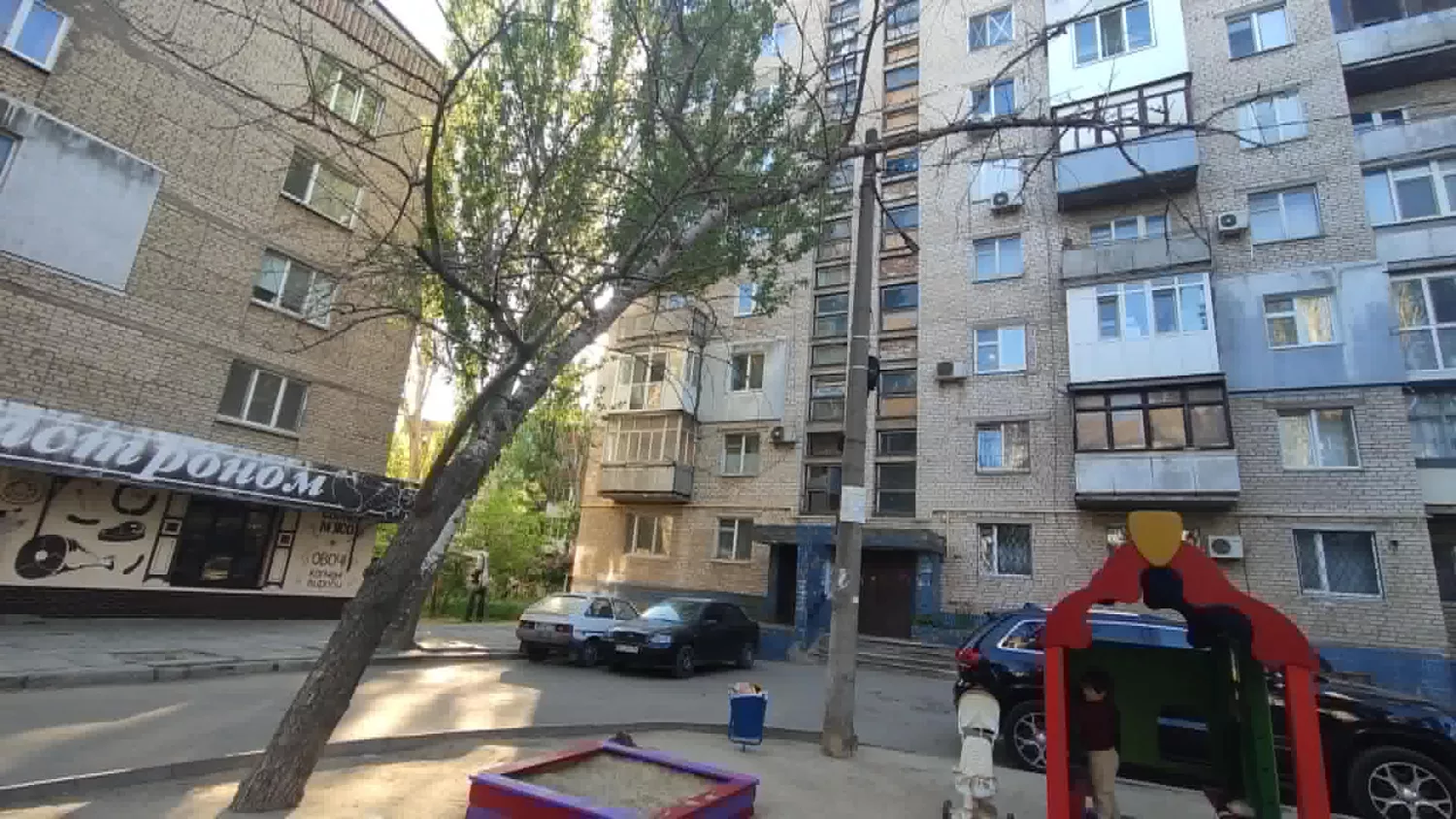 Дерево по вулиці Олекси Алмазова, 53-а. Фото: Анна Цимбал