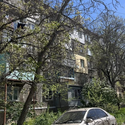 Сухе дерево за адресою провулок Полярний 2А. Фото: Марина Ничипоренко