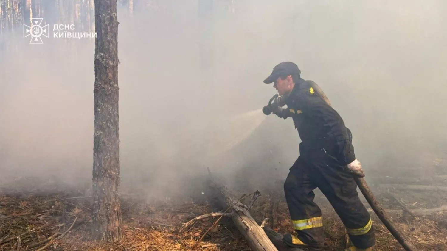 У Чорнобильській зоні понад добу гасять лісову пожежу. Фото: ДСНС