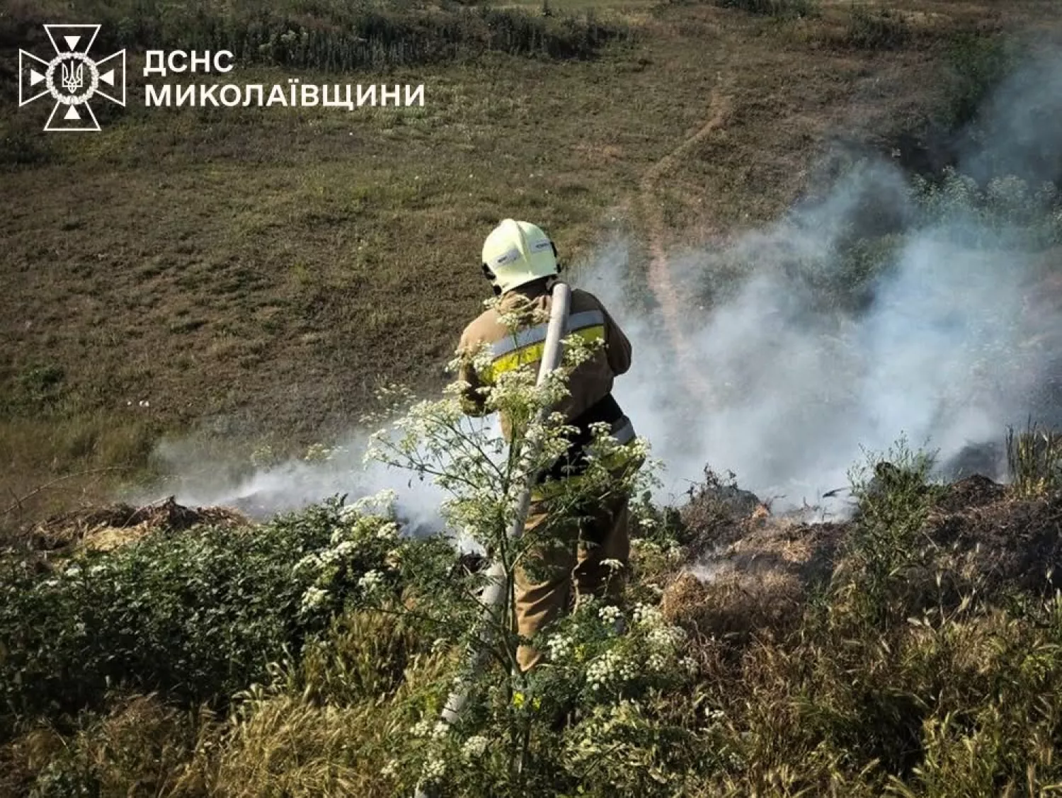 Ліквідація пожежі на Миколаївщині. Фото: ДСНС