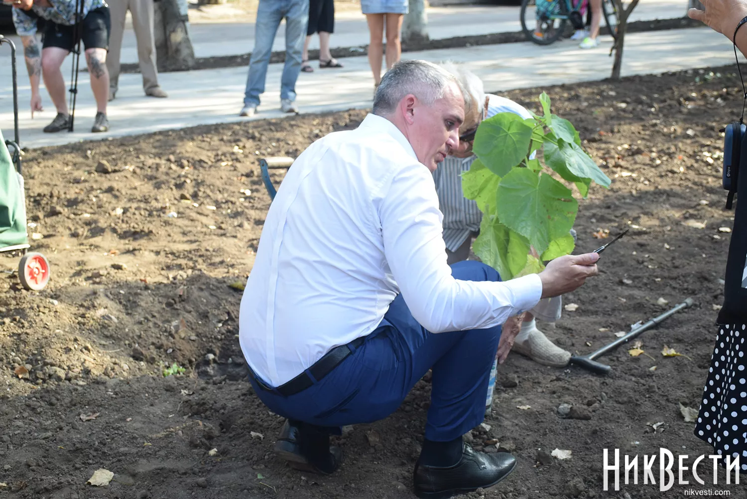 У 2020 році мер Миколаєва Олександр Сєнкевич під час відкриття відновленого Вітовського скверу садив там молоді дерева, фото з архіву НикВести