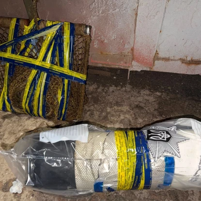 На Одещині браконьєри наловили понад 60 тисяч мідій. Фото: ДПСУ