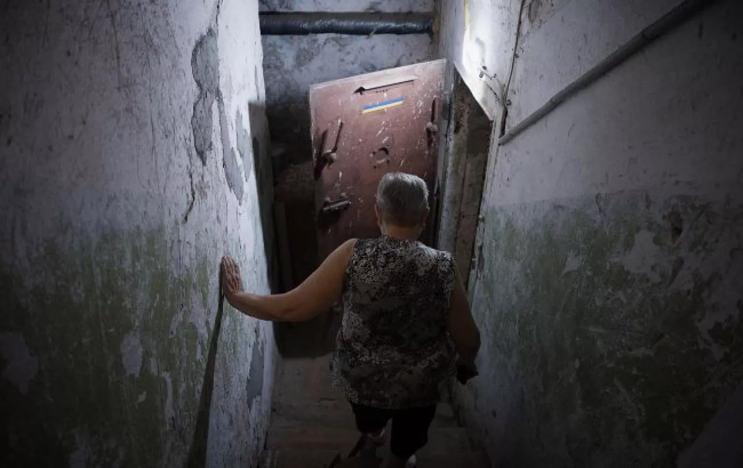 У Миколаєві мешканці скаржаться на нашестя бліх у будинку. Ілюстративне фото Getty Images