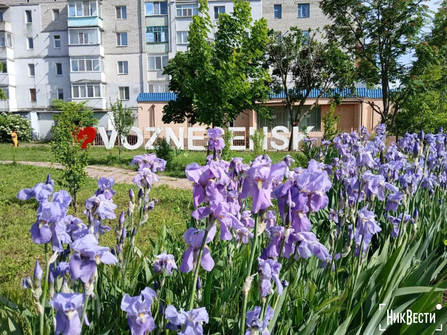 Вознесенськ, травень 2024 року, фото: МикВісті
