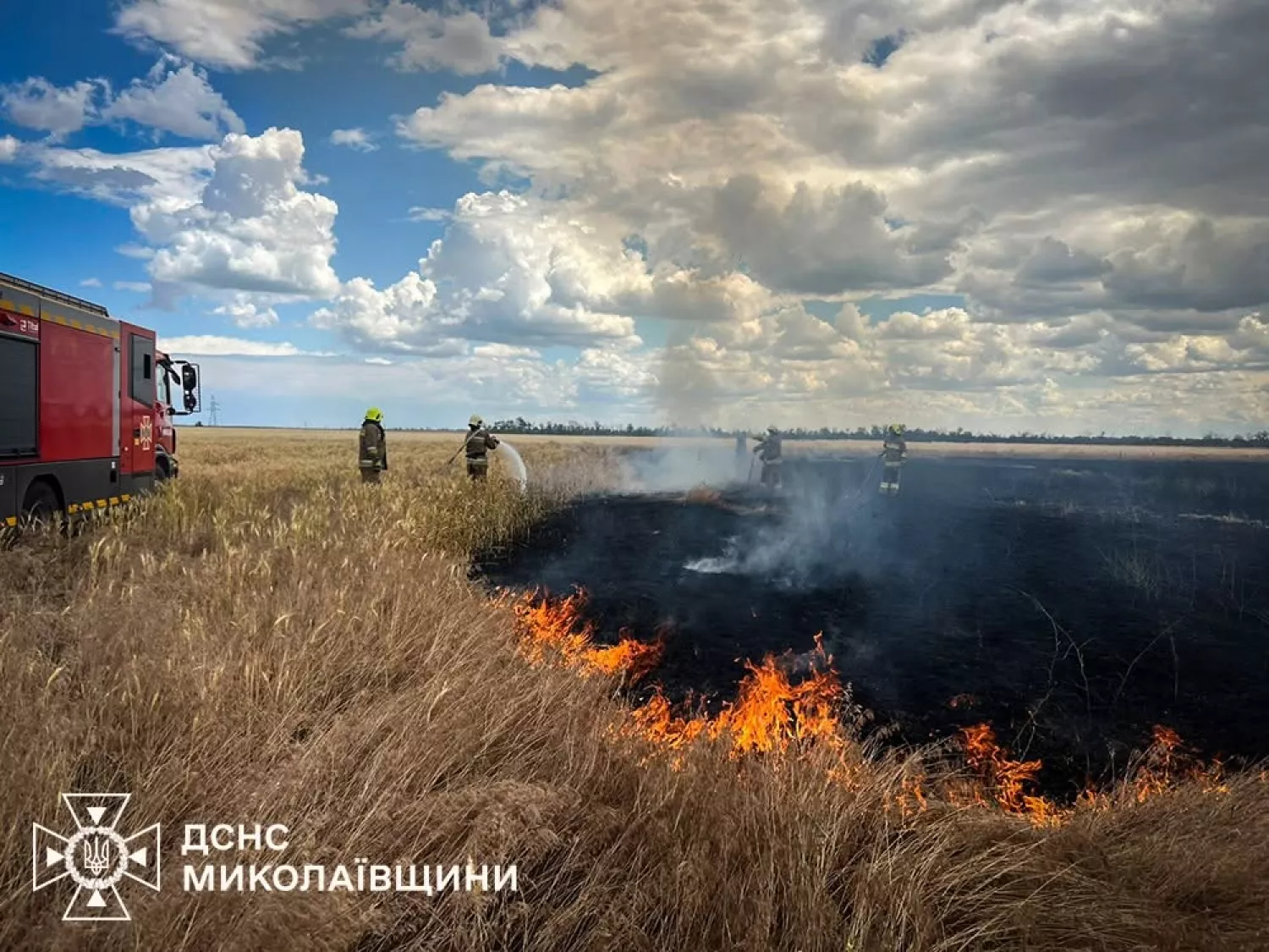 Наслідки пожеж на Миколаївщині. Фото: ДСНС Миколаївщини