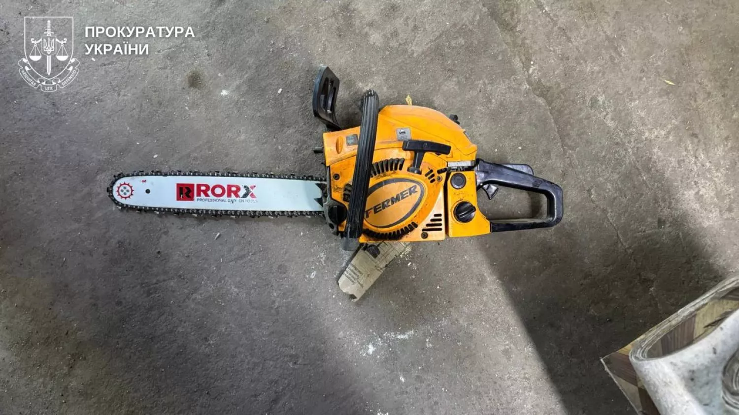 На Миколаївщині незаконно вирубали майже 500 дерев. Фото: Прокуратура Миколаївської області