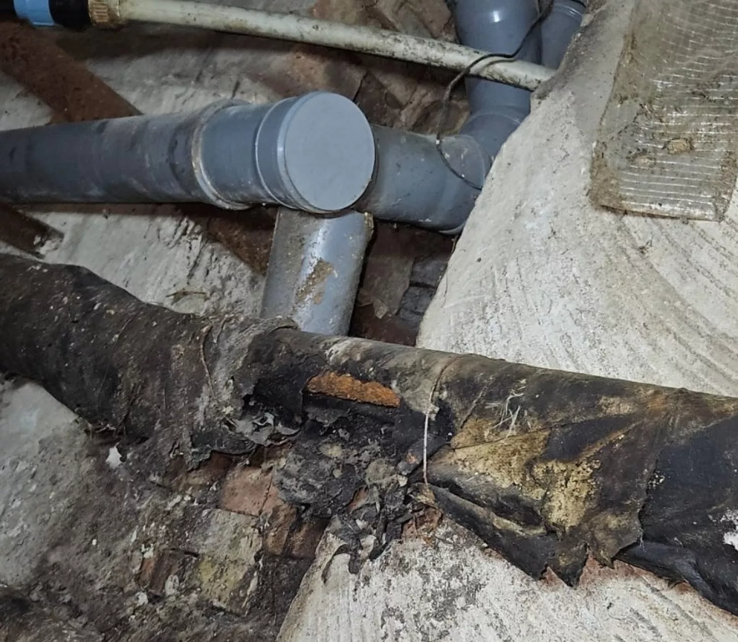 Стан каналізації в будинку 15а по вулиці Театральній у Миколаєві. Фото жителів будинку у 2025 році