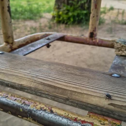 Стан парку«Народни й сад». Фото МикВісті
