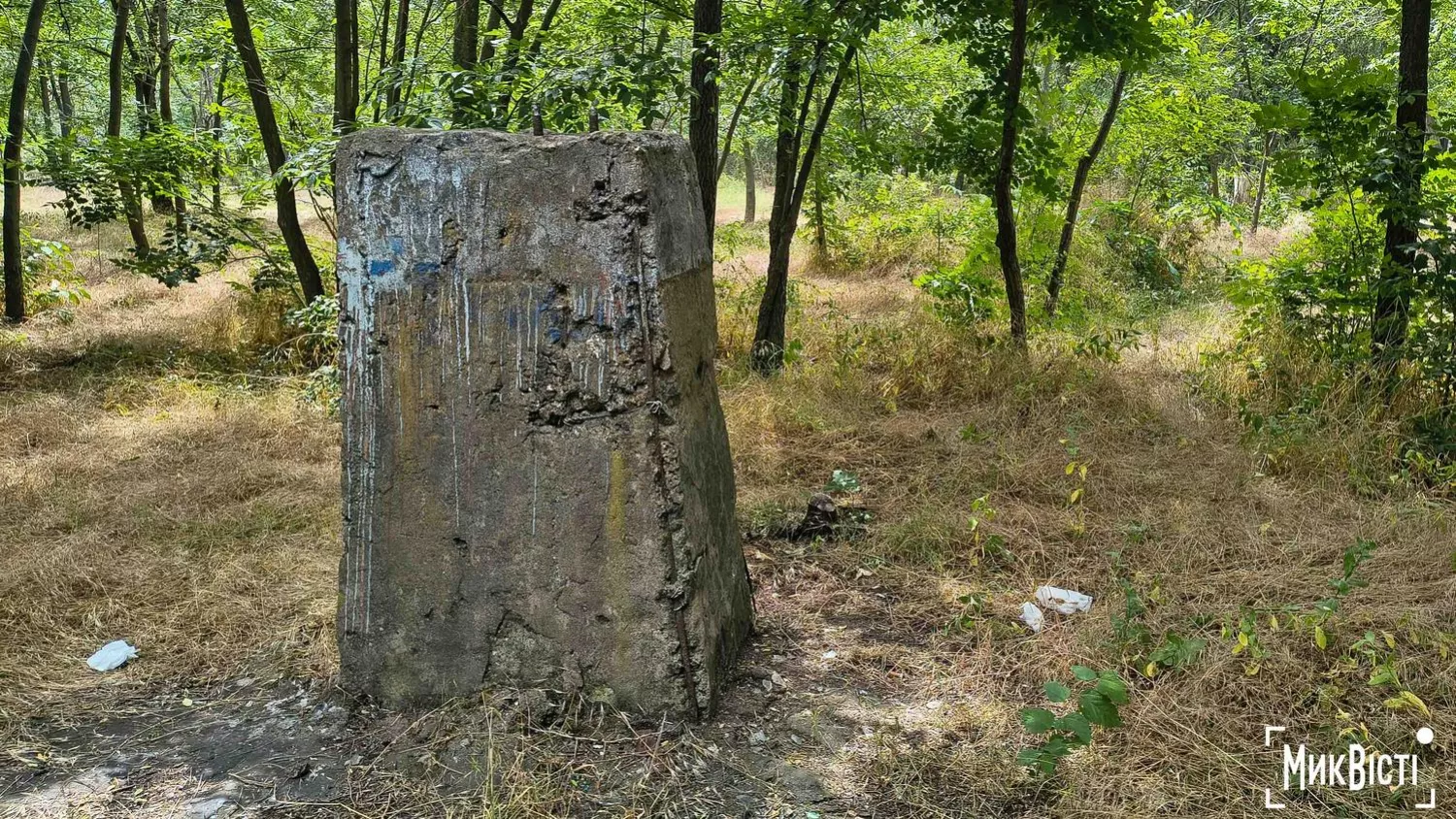 Стан парку«Народни й сад». Фото МикВісті