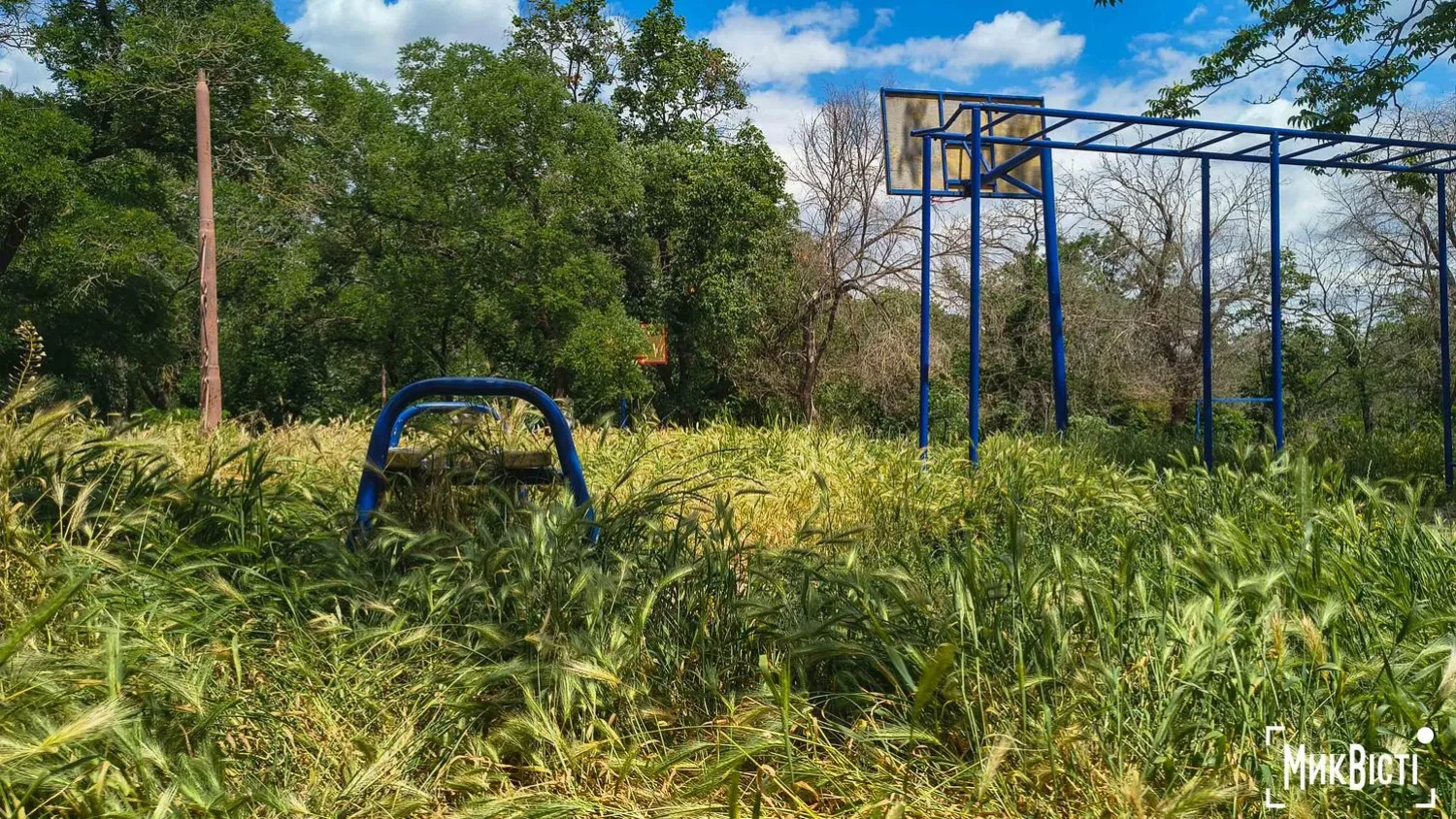 Стан парку«Народни й сад». Фото МикВісті