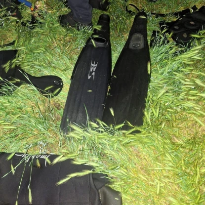На Миколаївщині браконьєри наловили раків на 2 млн грн. Фото: Держекоінспекція