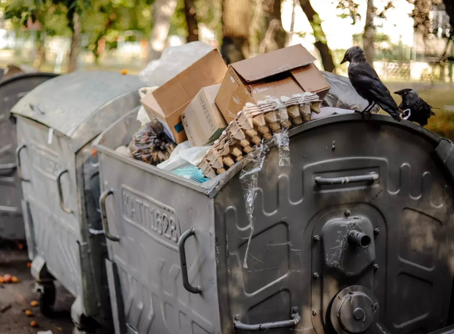 У Вознесенську підвищили тариф на вивезення сміття. Ілюстративне фото dnepr.info