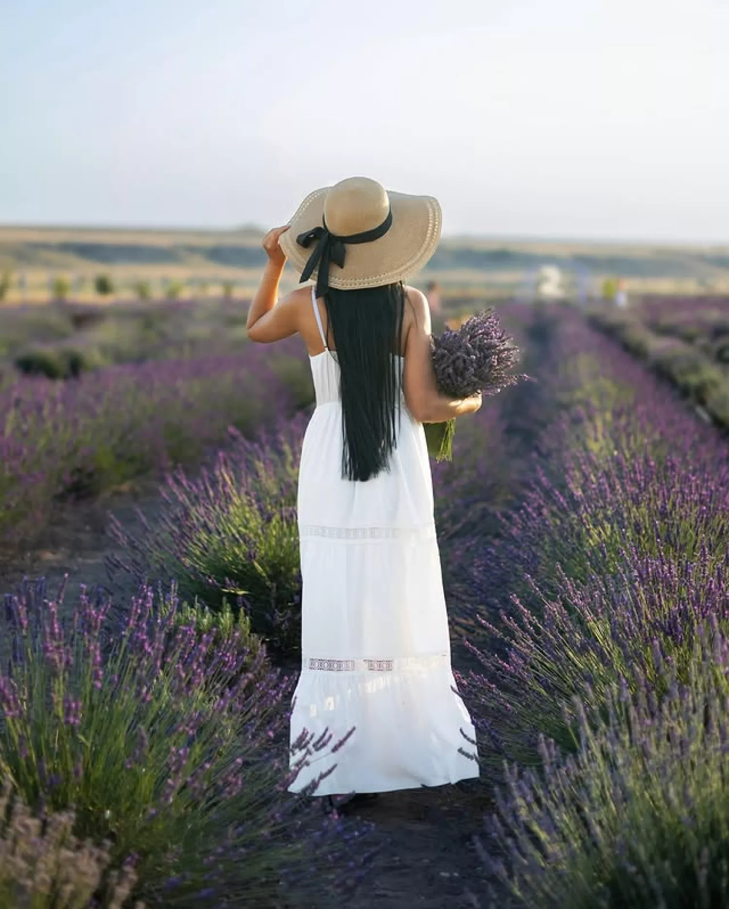 Фотосесія у лавандовому полі на Миколаївщині, фото Instagram / lavenderukraine