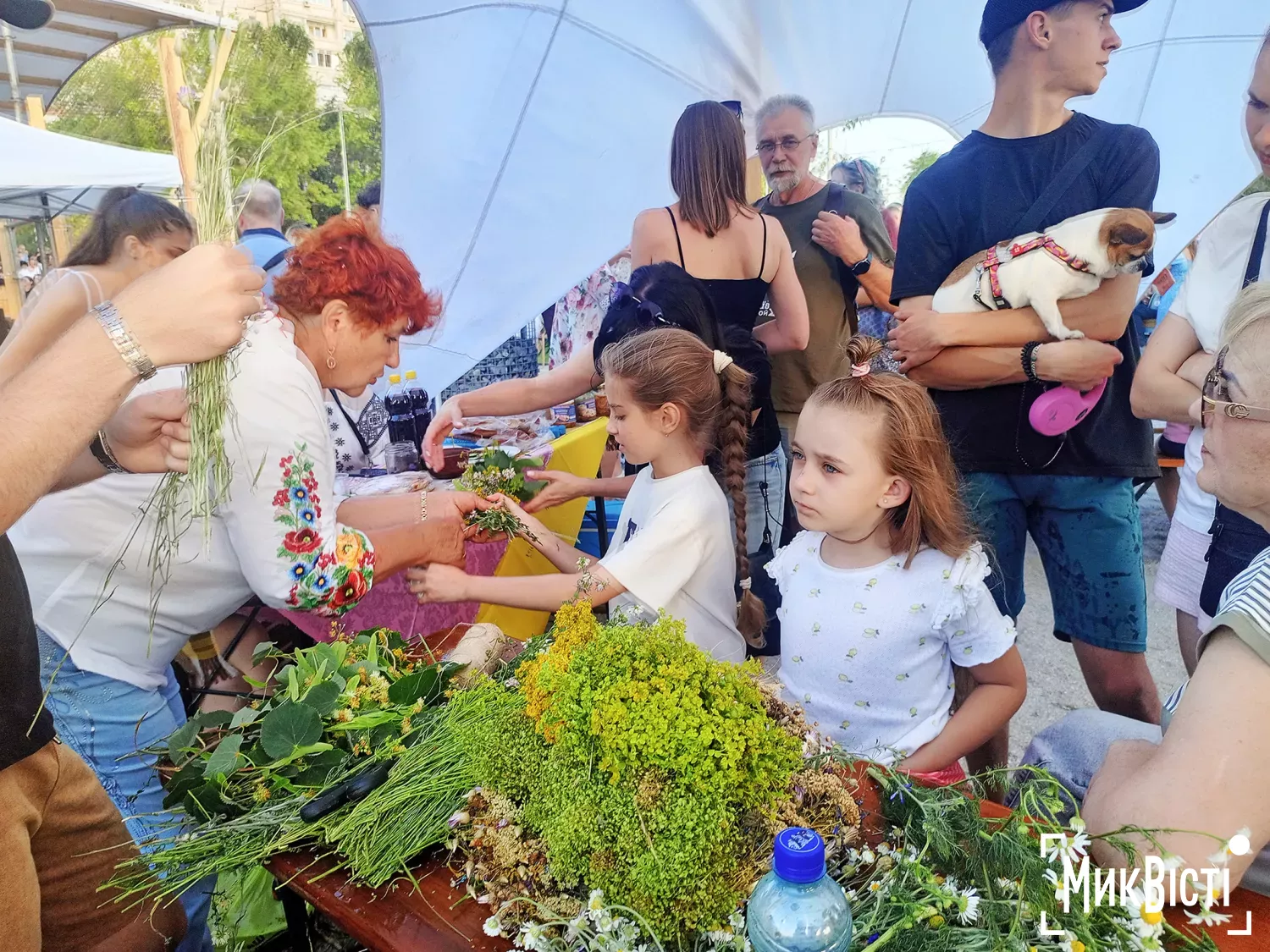 Відкриття «Freedom Pocket Park» на Намиві у Миколаєві. Фото: НикВести