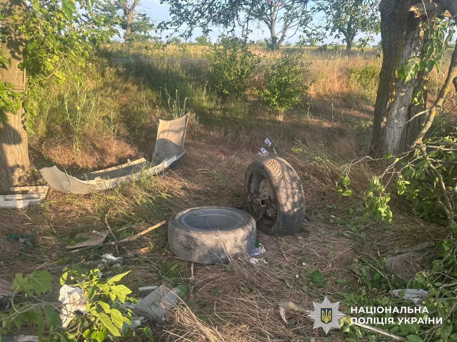 Наслідки ДТП на трасі Благовіщенське-Миколаїв. Фото Поліції Миколаївської області