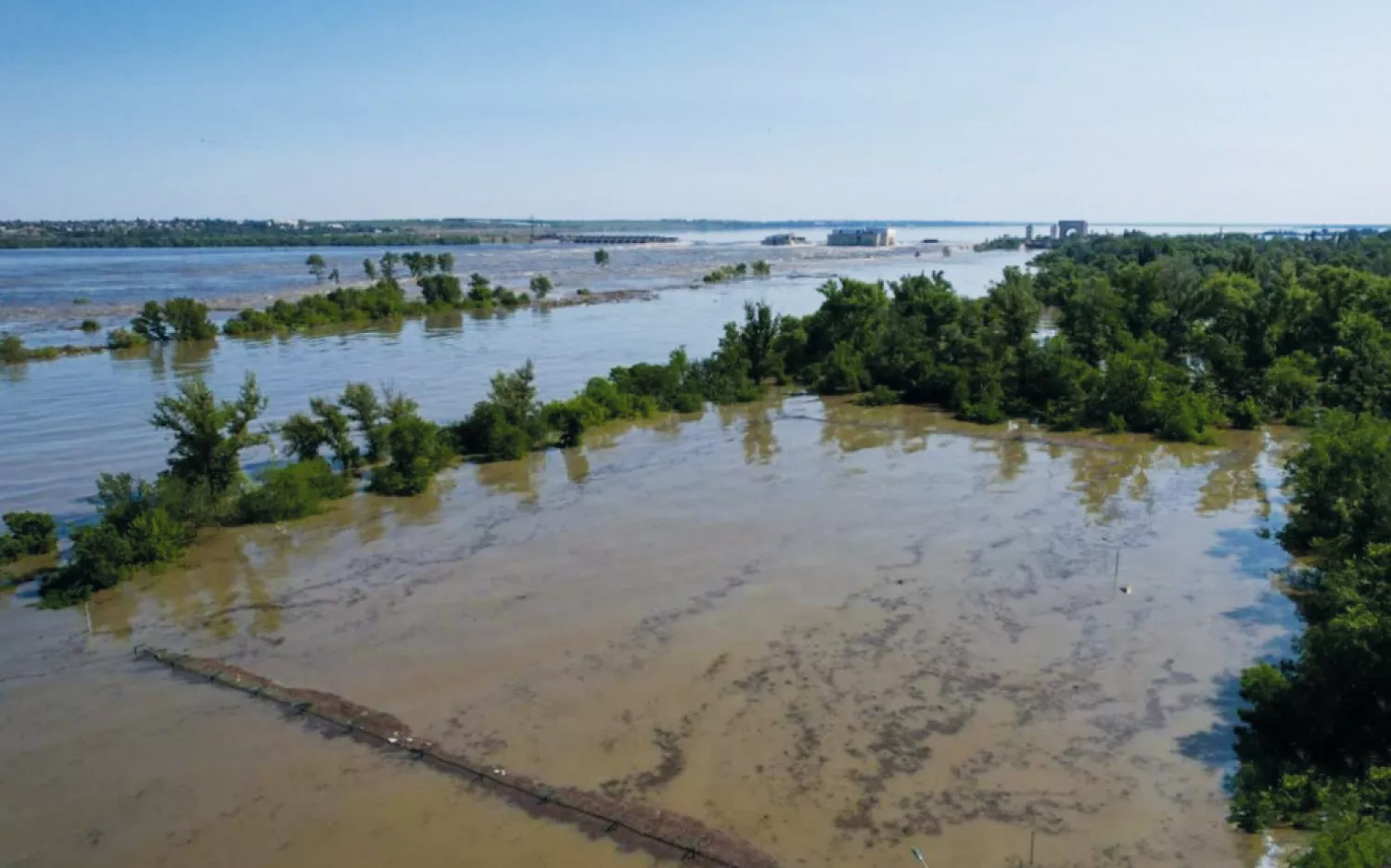 На Миколаївщині через суд оскаржують передачу підприємцю водосховища та 300 гектарів землі. Фото: agroelita.info