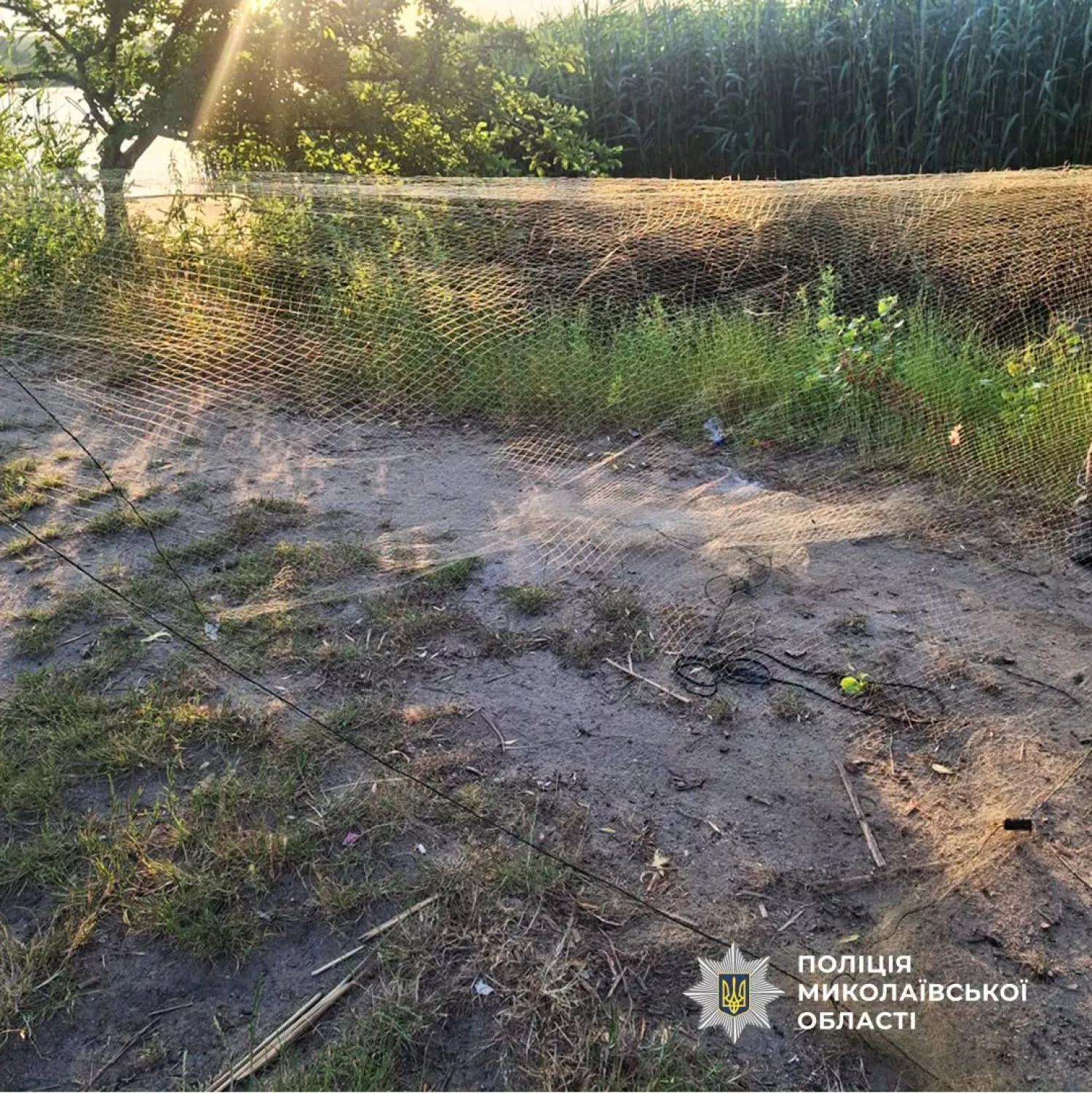 У поліції відзвітували про затримання на Миколаївщині рибалки з 466 пузанками. Фото: Нацполіція