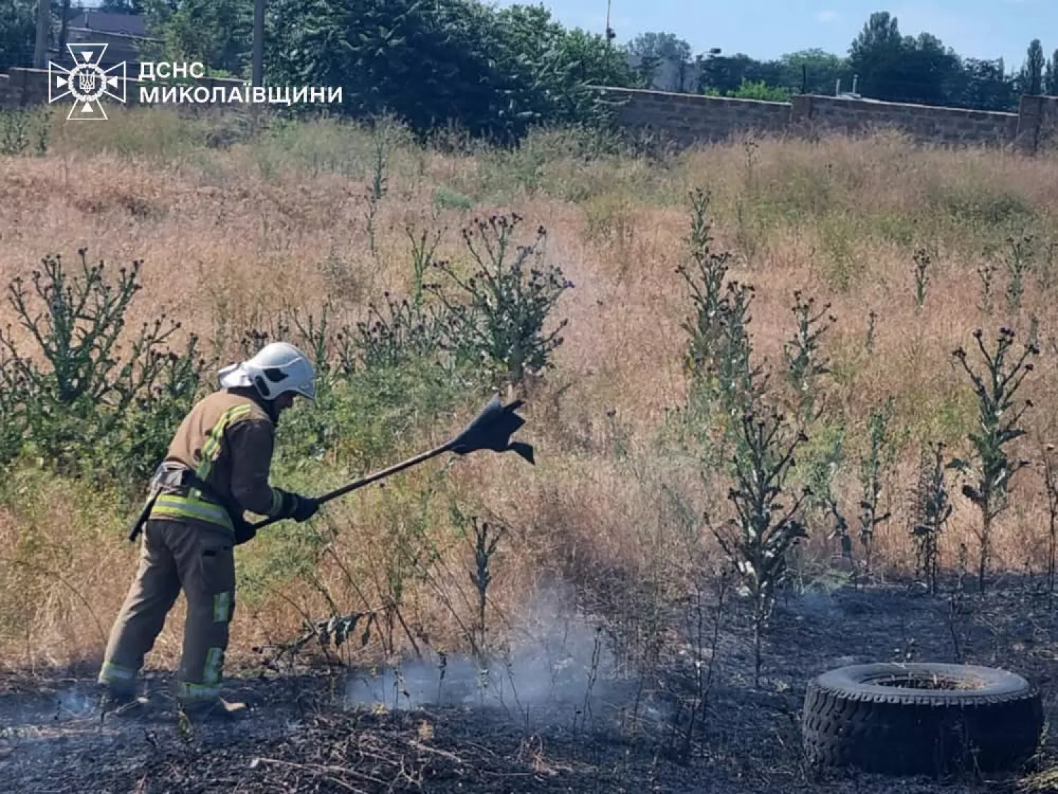 На Миколаївщині 25 червня ліквідували 19 пожеж. Фото: ДСНС