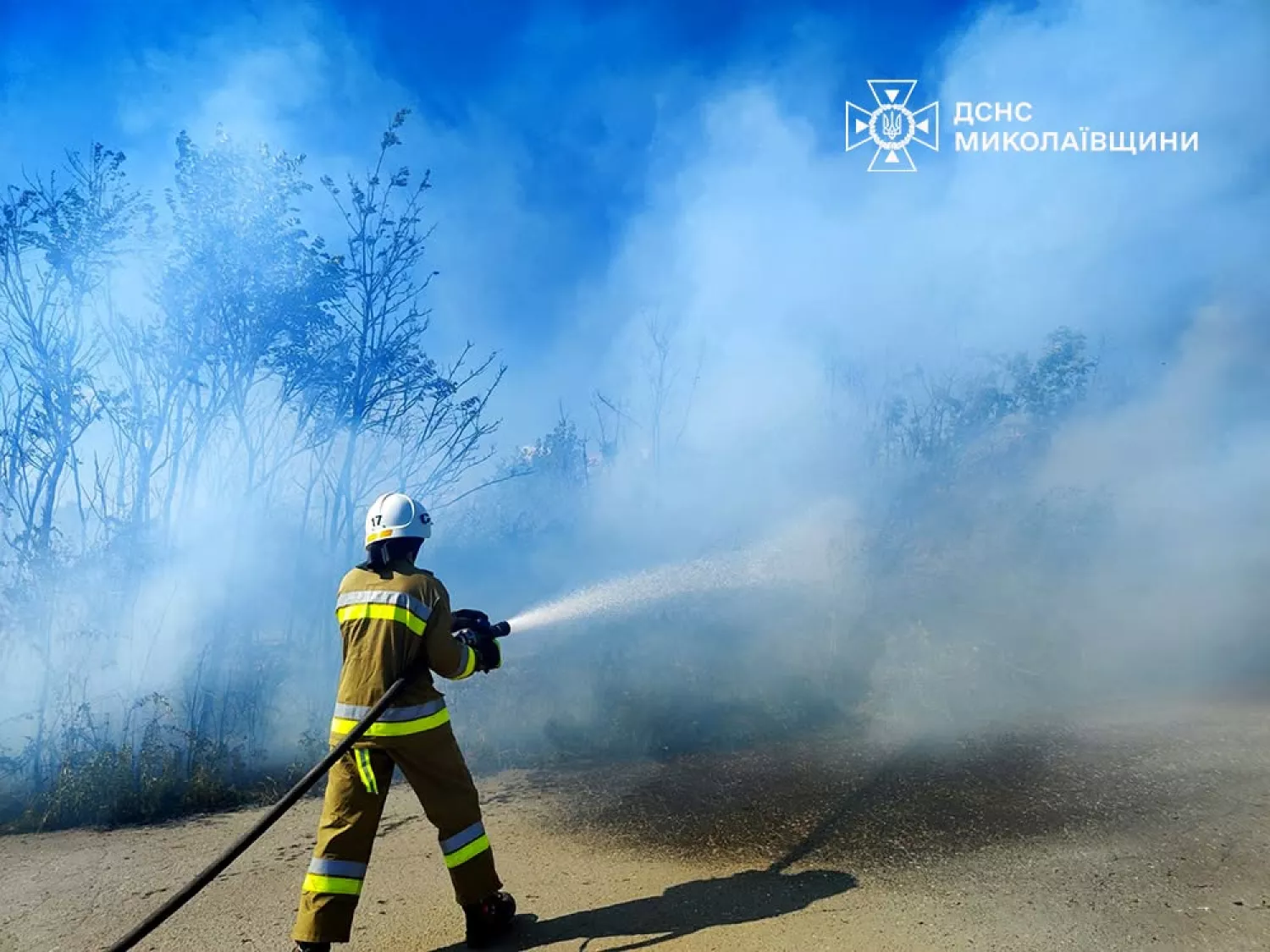 На Миколаївщині 25 червня ліквідували 19 пожеж. Фото: ДСНС