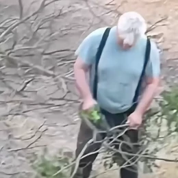 У Миколаєві невідомі знсли дерева посеред дня, скриншот з відео Миколаївських парків