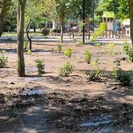 Насадження у сквері Вітовському. Фото зі сторінки підприємства у Facebook