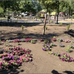 Насадження у сквері Вітовському. Фото зі сторінки підприємства у Facebook