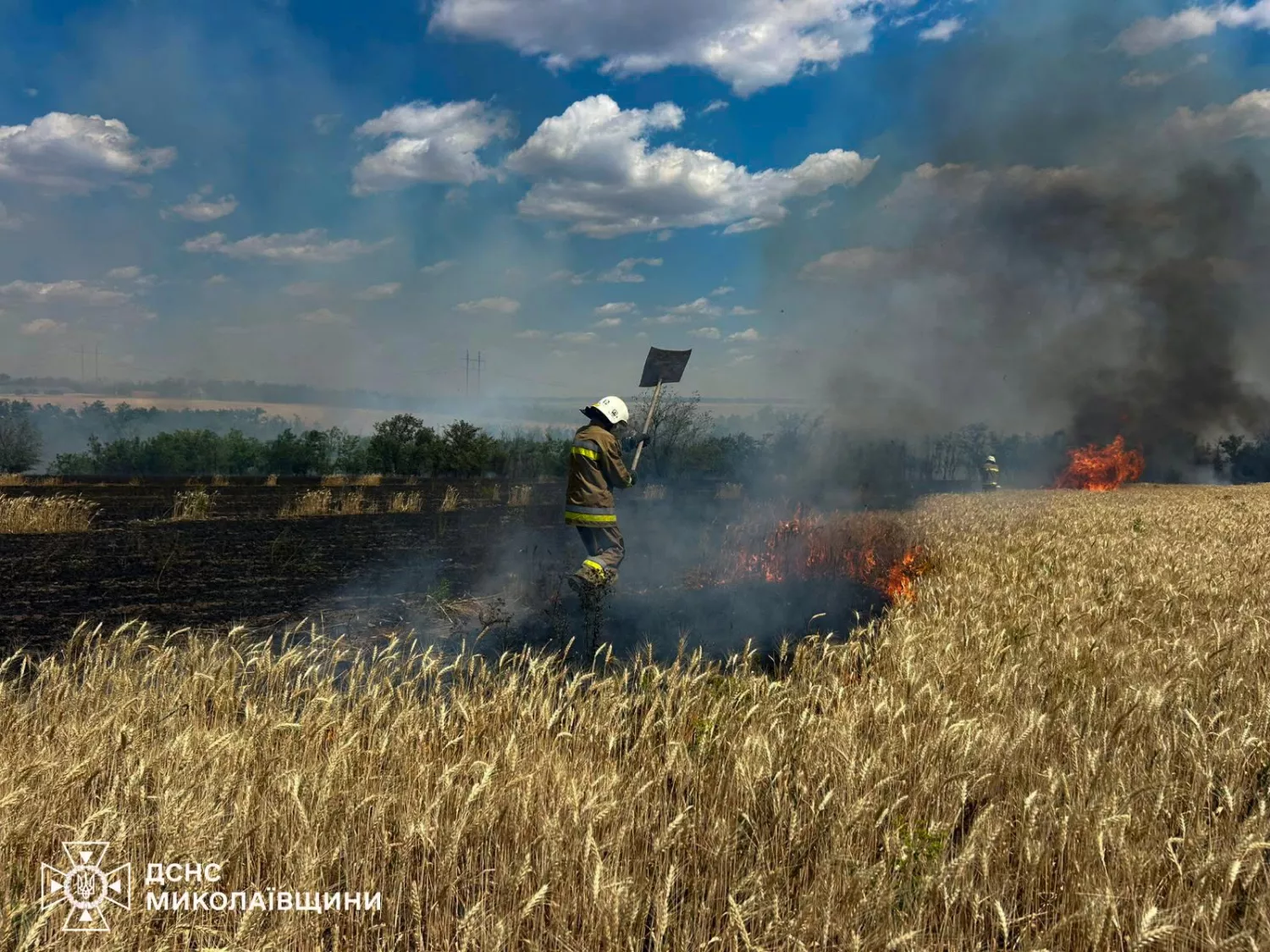 Вогнеборці ліквідовують пожежу. Фото: ДСНС Миколаївщини