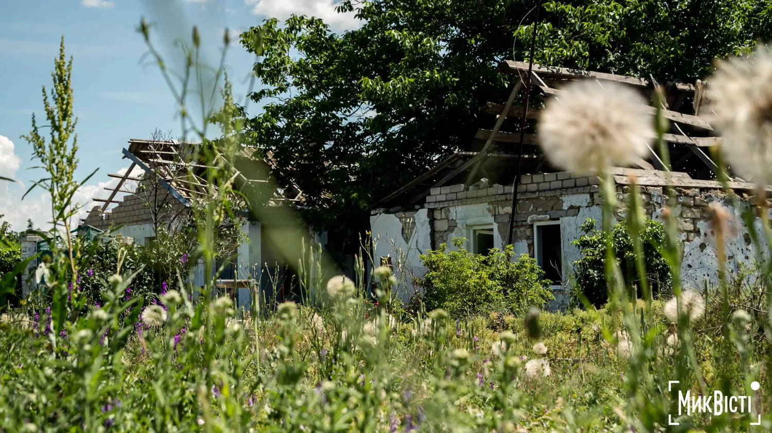 Село Партизанське, фото «МикВісті»