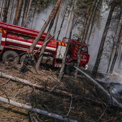 Вогонь охопив ліси Чорнобильської зони. Фото: ДСНС