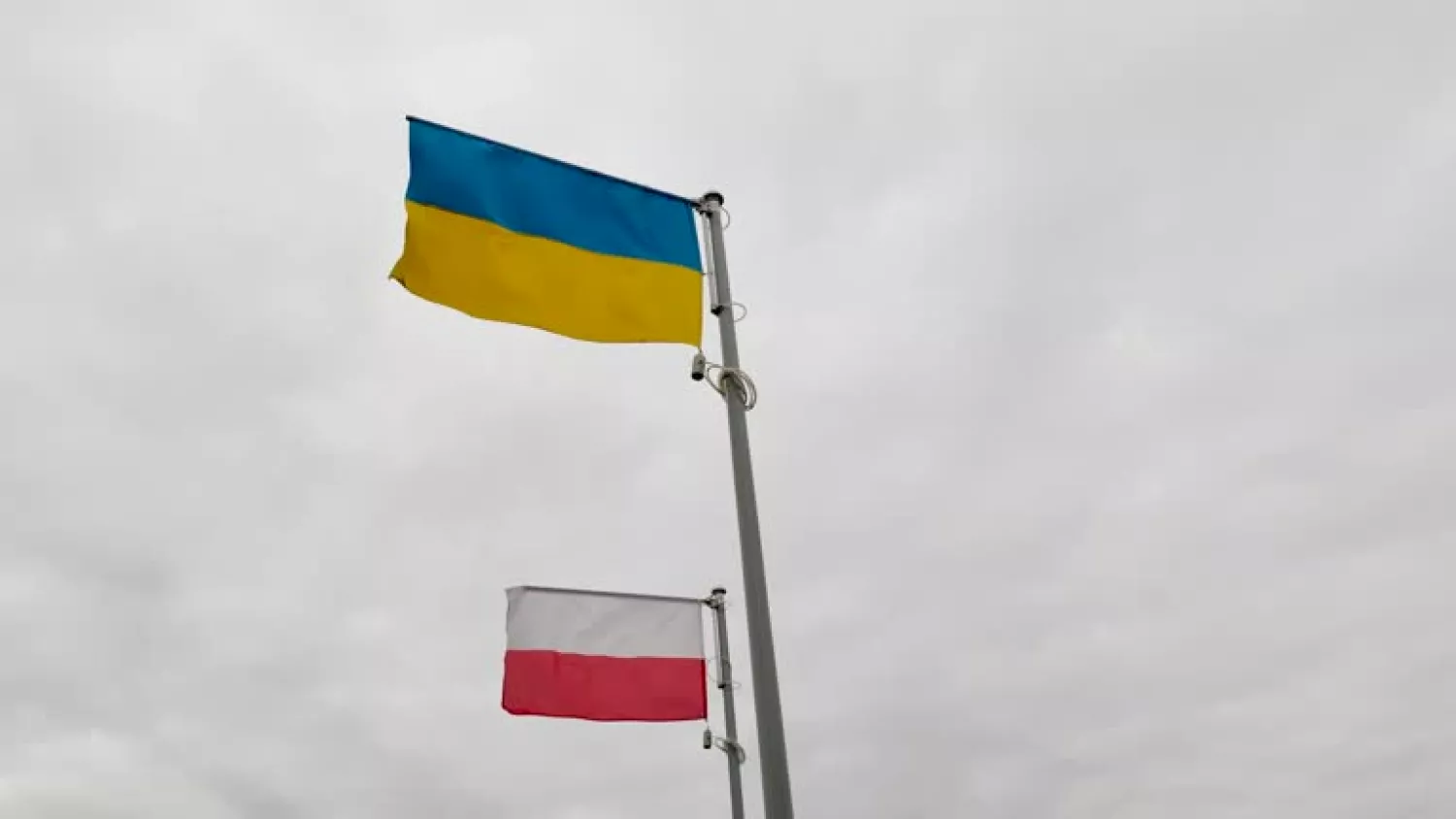 Сікорський: Для України УПА — це опір, для нас — Волинь, ілюстративне фото istockphoto.com