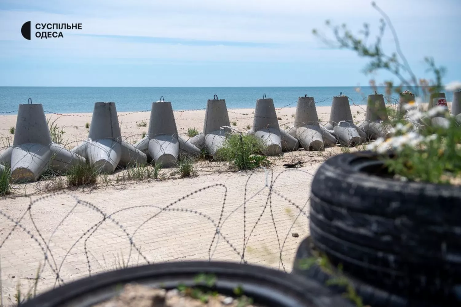 Затока, фото Суспільне Одеса
