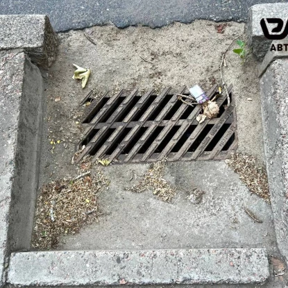 Засмічений дощоприймач, фото ЕЛУ Автодоріг