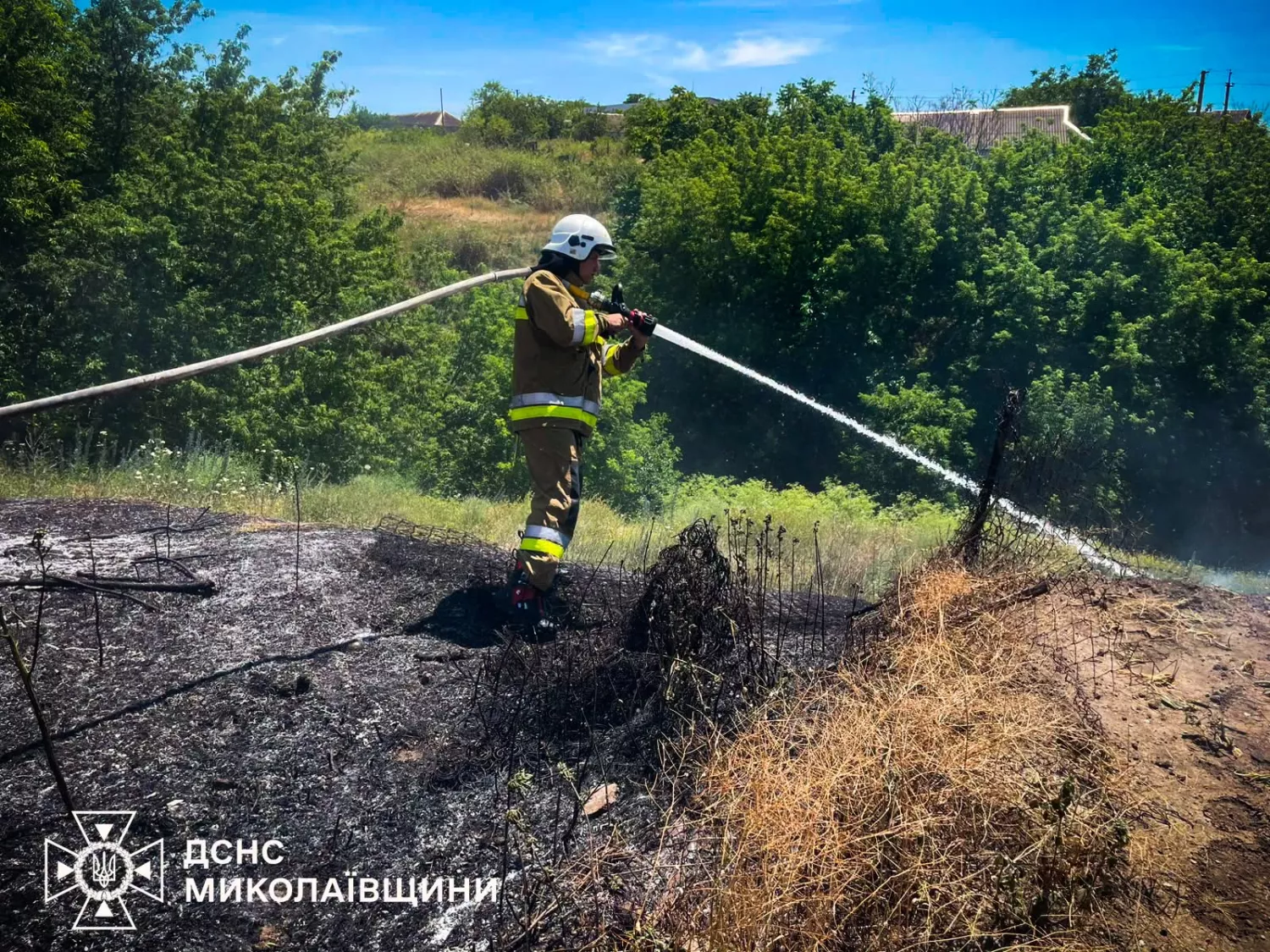 Через пожежі на Миколаївщині за добу вигоріли десятки гектарів території. Фото: ДСНС