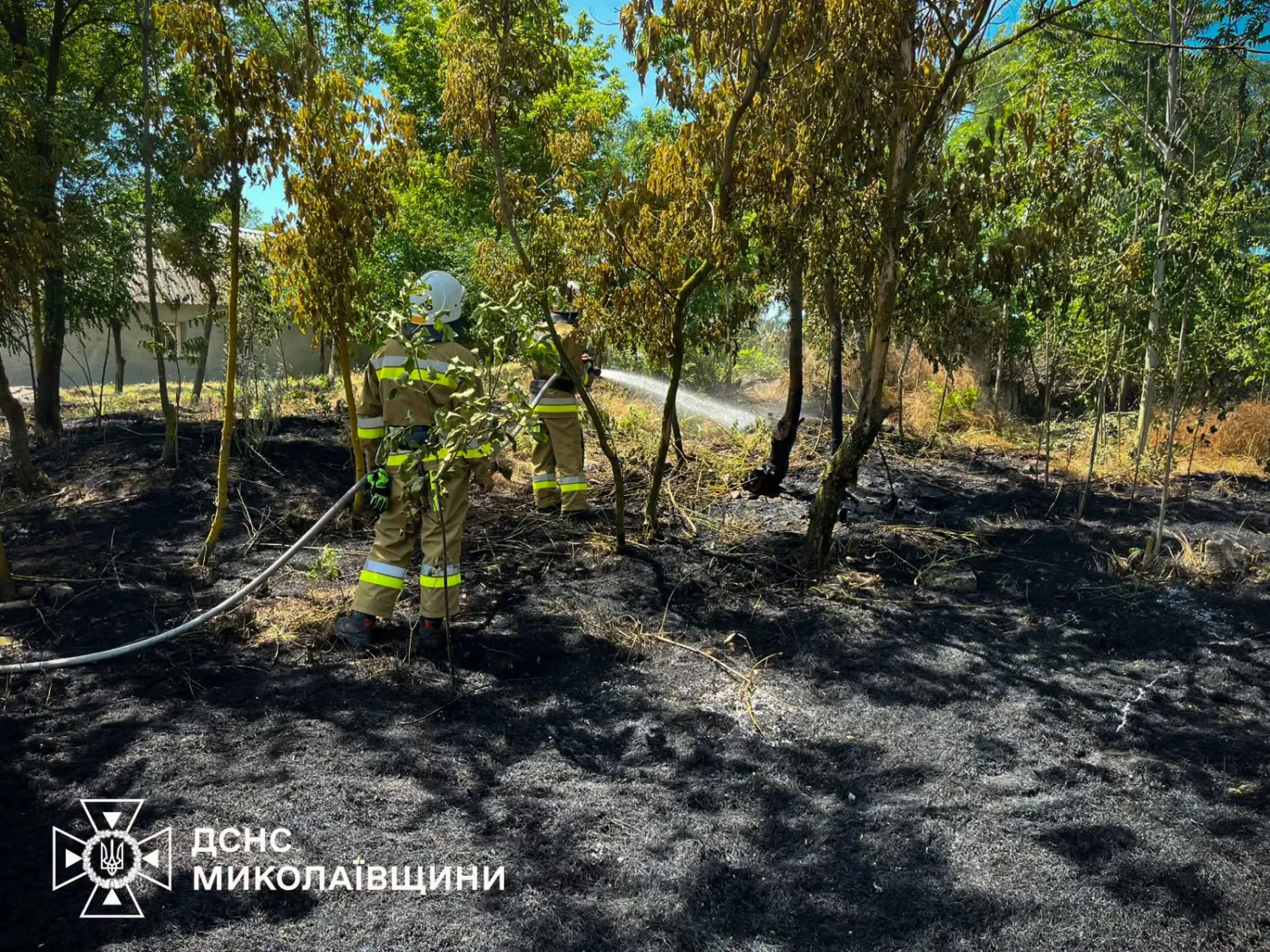 Через пожежі на Миколаївщині за добу вигоріли десятки гектарів території. Фото: ДСНС