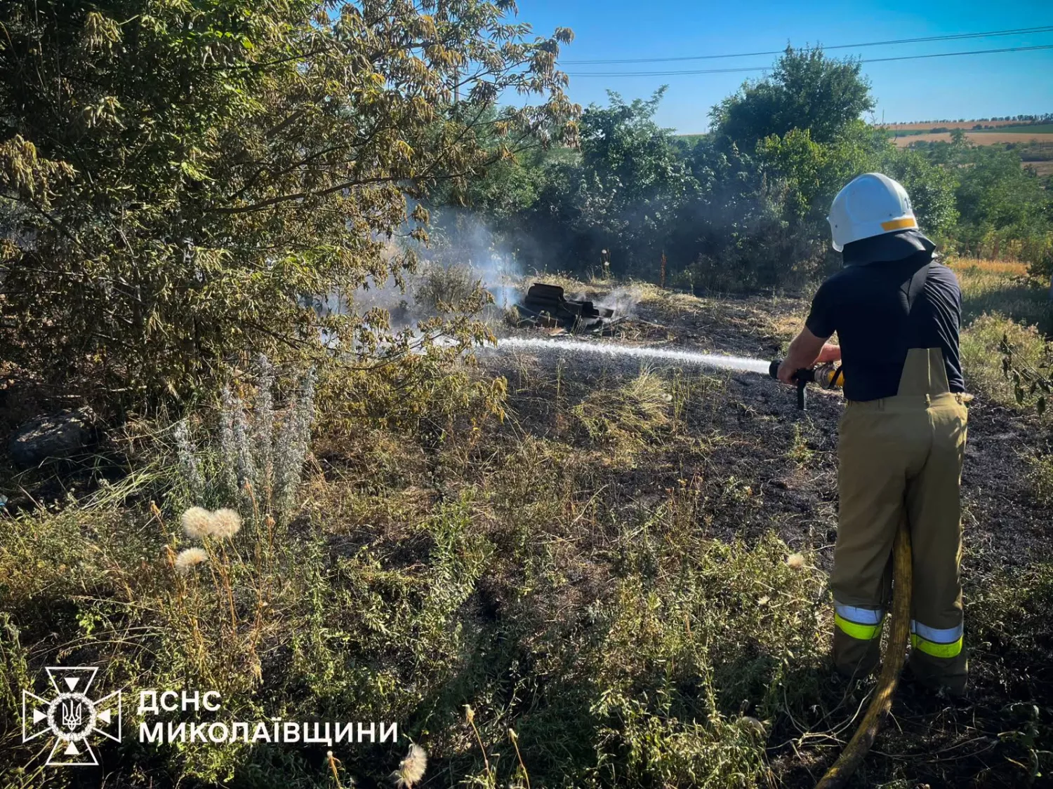 Через пожежі на Миколаївщині за добу вигоріли десятки гектарів території. Фото: ДСНС