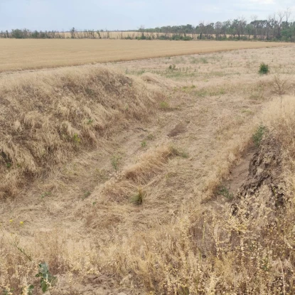 Науковці досліджують пошкоджені війною кургани на Херсонщині. Фото: Іван Мойсієнко