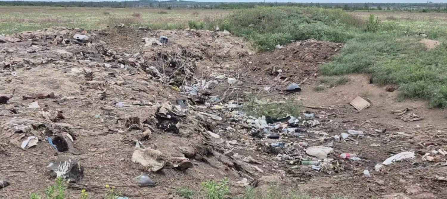У Миколаєві знайшли звалище з рештками корів. Скриншот: з відео Держекоінспекції
