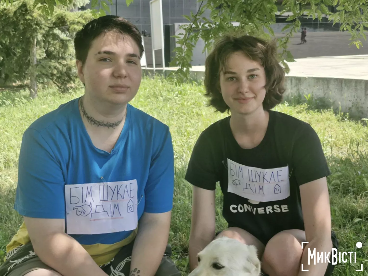 На фестивалі у Миколаєві шукали нові родини для евакуйованих із Херсонщини собак. Фото: МикВісті