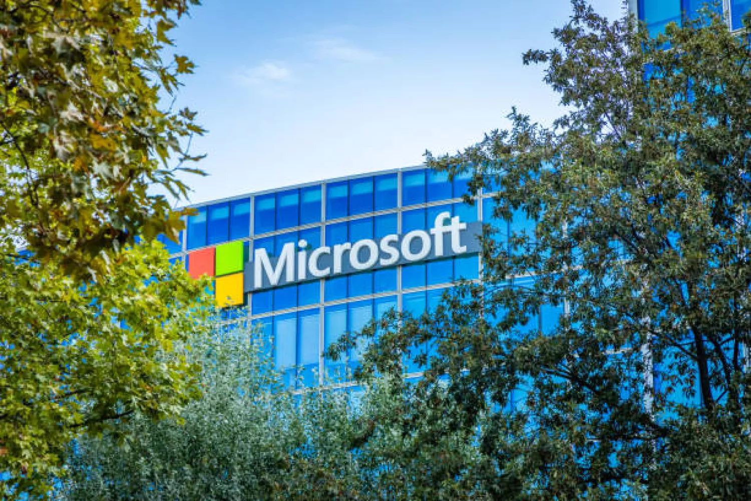 У Windows 11 дозволять прибирати веб-результати з пошуку, ілюстративне фото istockphoto