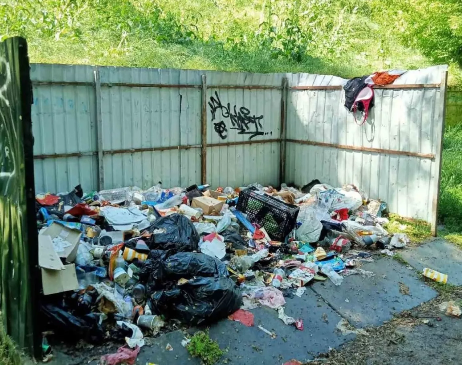 Сміттєзвалище у Миколаєві. Фото: Держекоінспекція